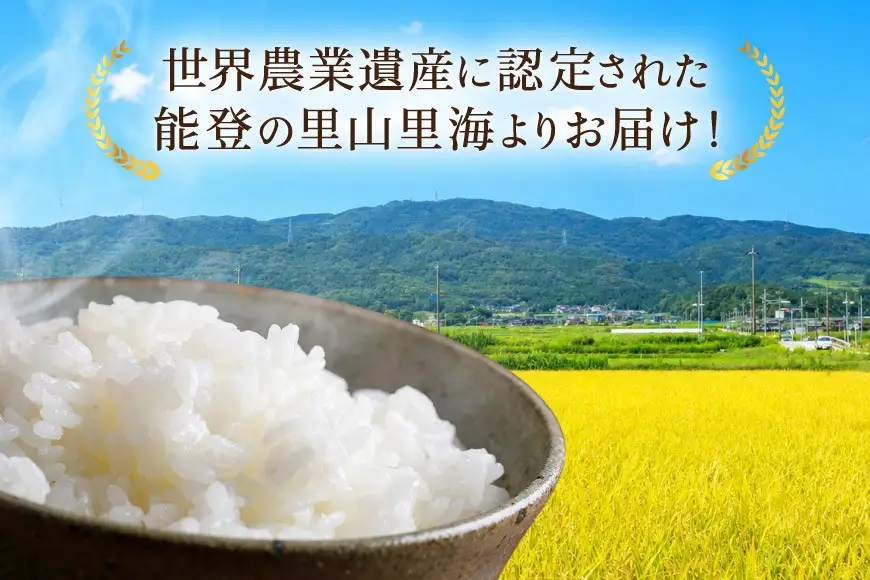 【期間限定発送】 米 定期便 コシヒカリ 白米 5kg 12回 総計 60kg