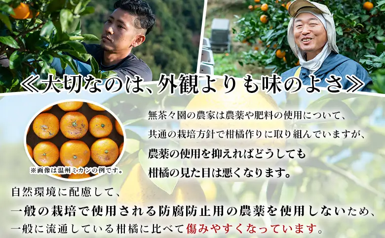  ＜無茶々園のジューシーフルーツ（河内晩柑）約5kg＞ フルーツ 果物 かわちばんかん みかん ミカン 蜜柑 柑橘 期間限定 季節限定 食べて応援 特産品 愛媛県 西予市 【常温】『2027年4月上旬～6月上旬迄に順次出荷予定』AMC0064