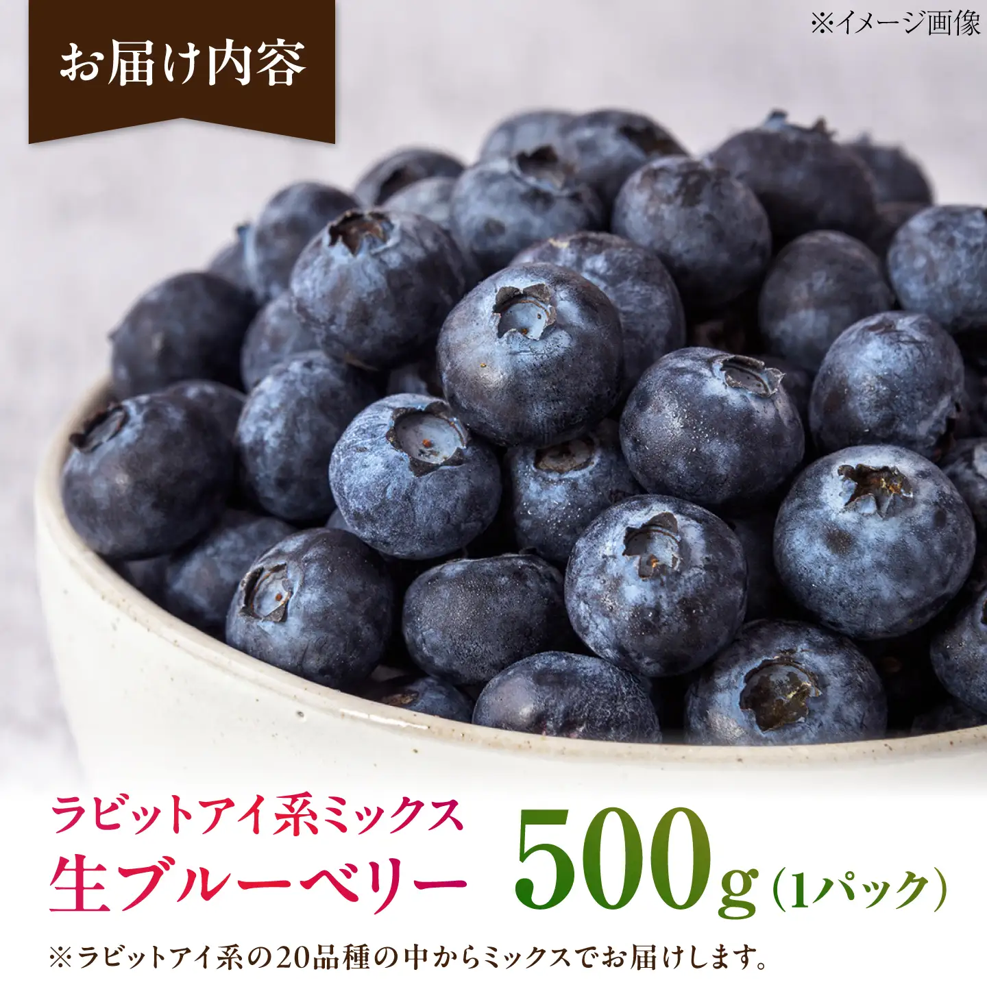 【10個限定】ブルーベリー500g(1パック) ブルーベリー [AIET001]