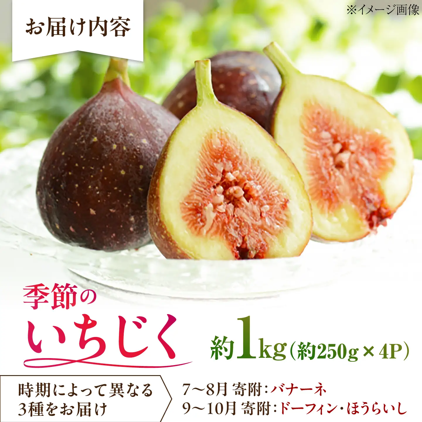 【先行予約】【10個限定】【2026年8月中旬以降順次発送】イチジク約1kg(約250g×4パック) いちじく [AIET002]