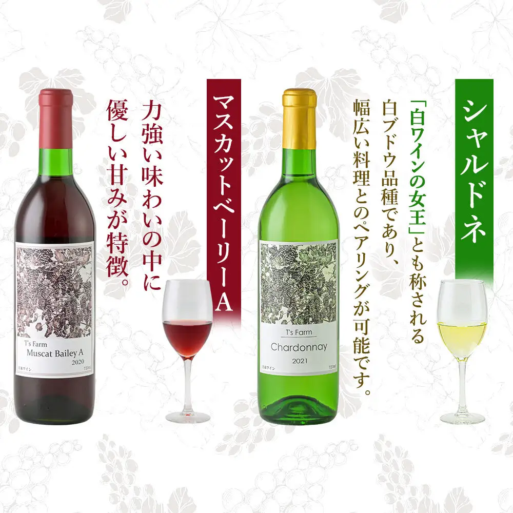 赤白ワイン 飲み比べ 2本セット シャルドネ・ワインマスカットベーリーA  720ml×各1本