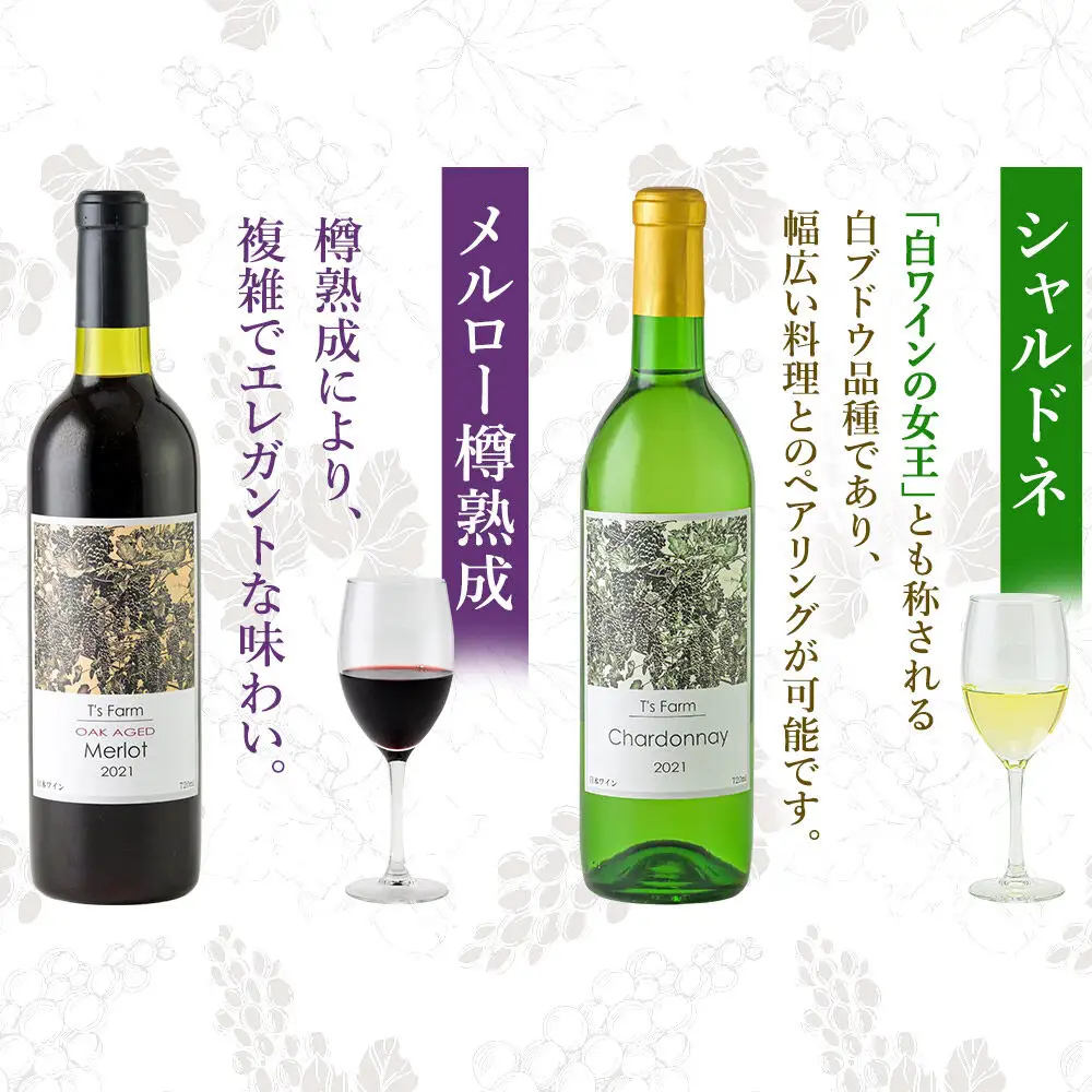 赤白ワイン 飲み比べ 2本セット シャルドネ・メルロー樽熟成 720ml×各1本