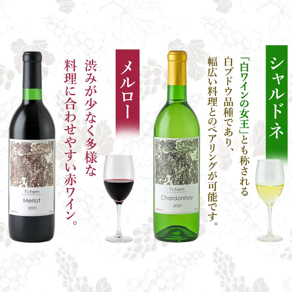 赤白ワイン 飲み比べ 2本セット シャルドネ・メルロー 720ml×各1本