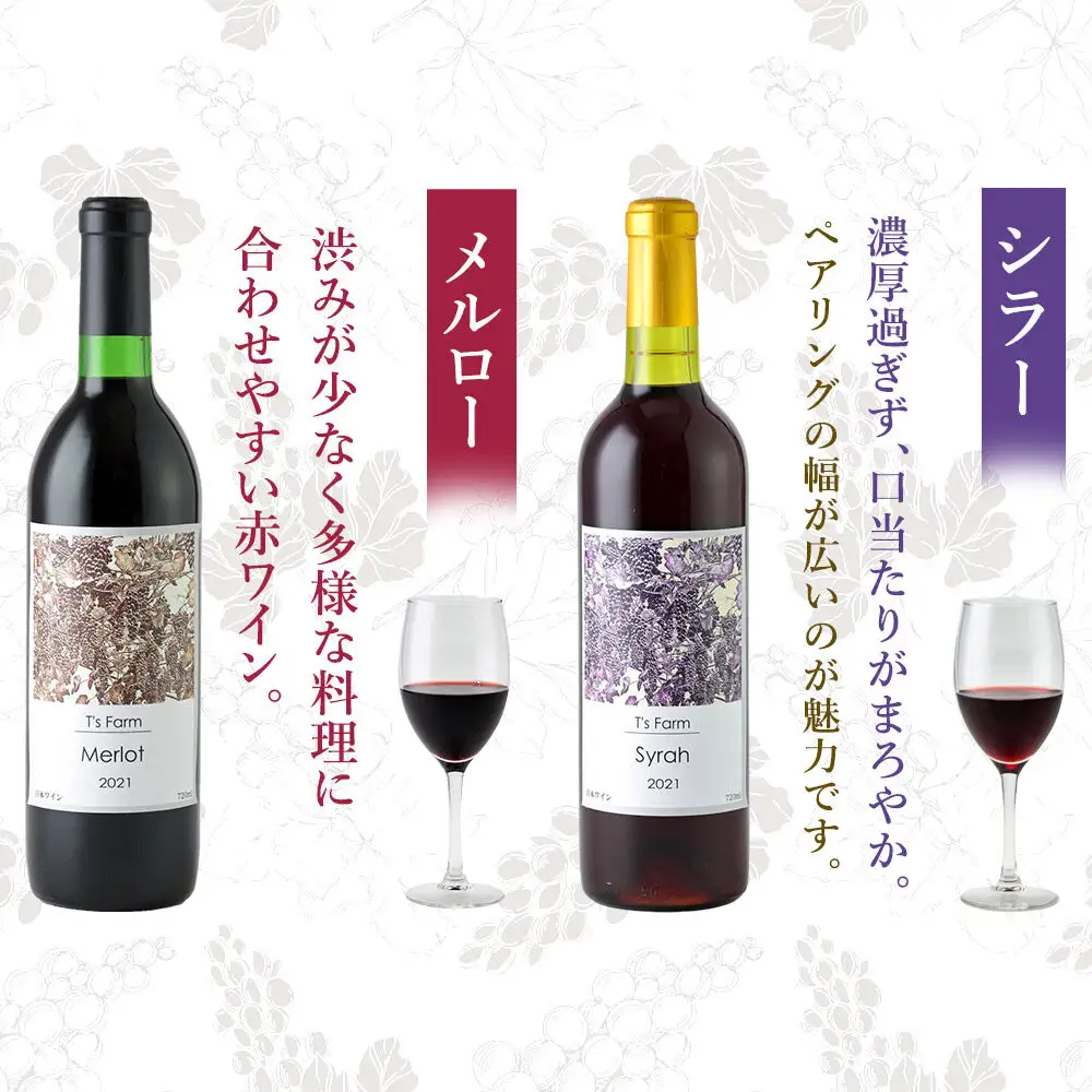 赤ワイン 飲み比べ 2本セット メルロー・シラー 720ml×各1本