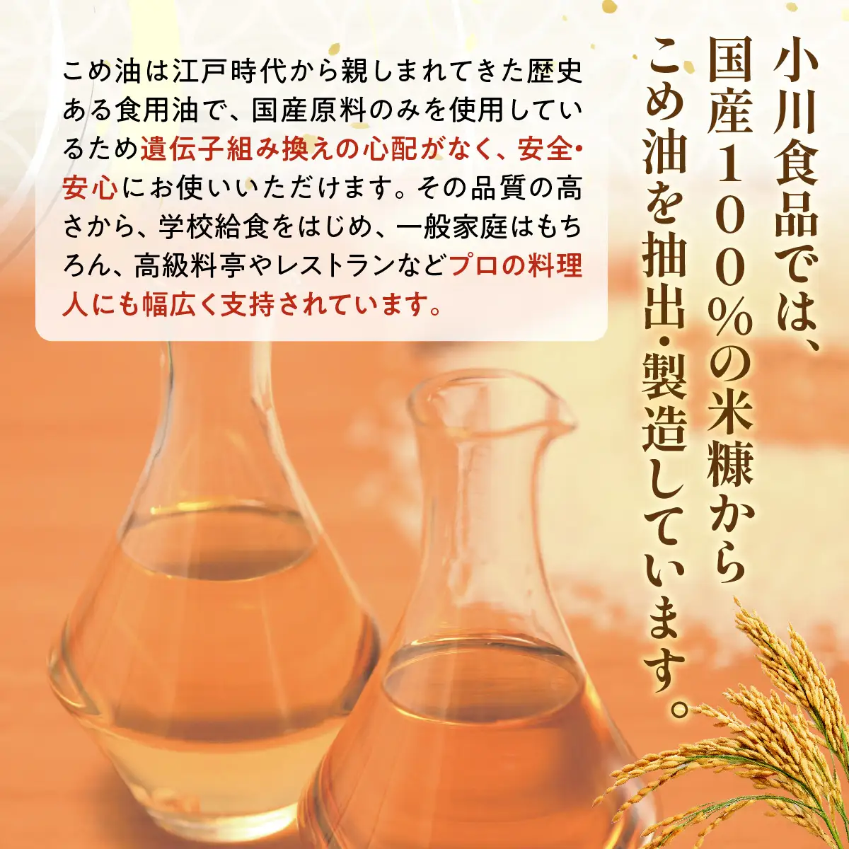 こめ油 500g×5本（サラダ・胚芽）セット こめ油 [1573]