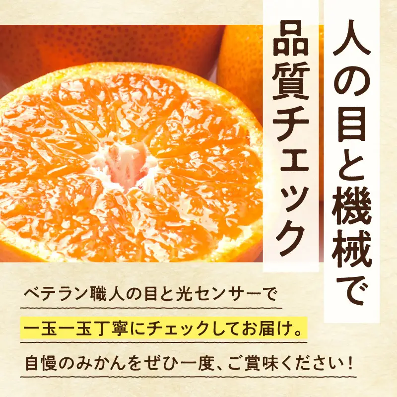 厳選 完熟有田みかん約7.5kg+250g（傷み補償分）【光センサー選果】_ZH7060