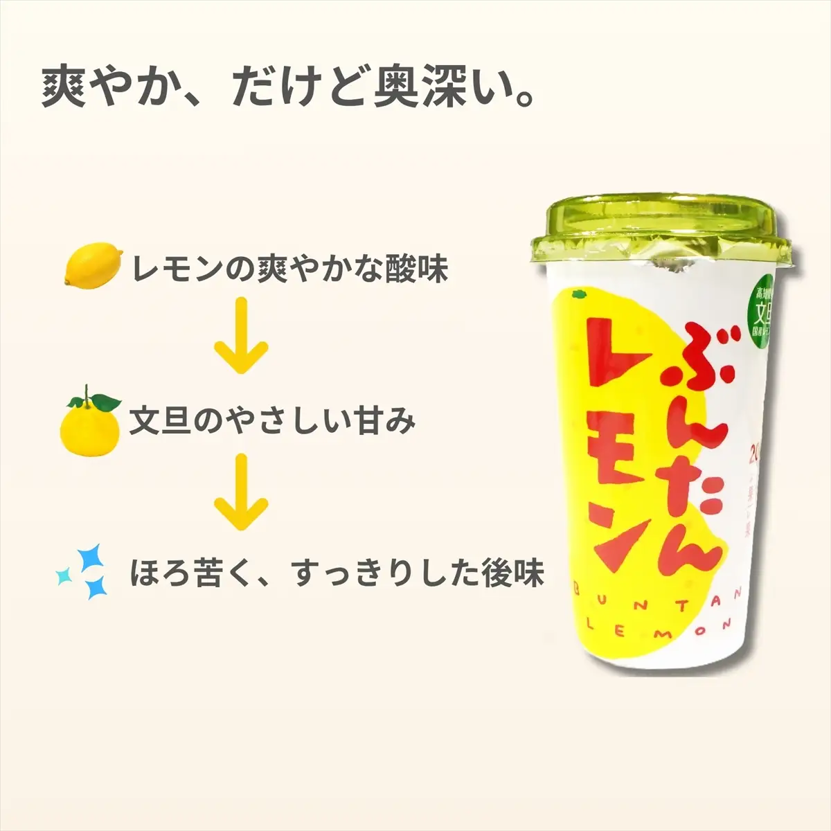 ぶんたんレモン　ストロータイプ　200ml　12本入り（高知アイス）