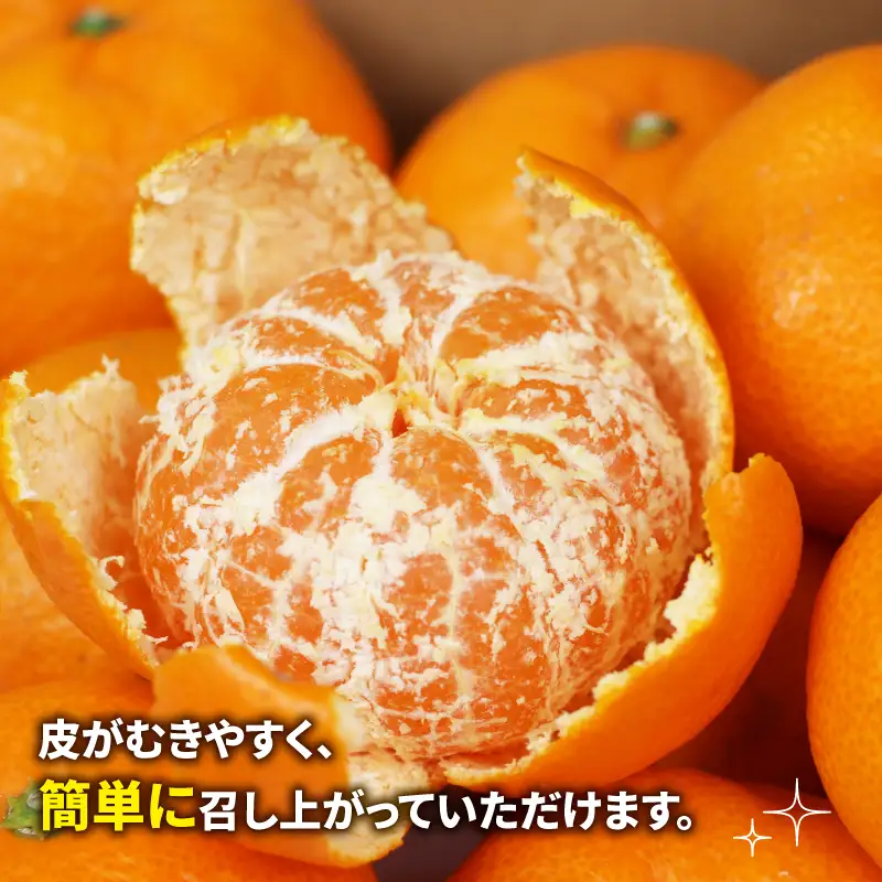 訳あり 大玉 みかん 7kg 温州みかん 先行予約 玉津柑橘倶楽部 温州 蜜柑 大玉みかん 甘い 果物 くだもの フルーツ 柑橘 mikan 愛媛蜜柑 愛媛みかん 愛媛ミカン ミカン わけあり サイズ 不揃い 産地直送 数量限定 国産 愛媛 宇和島 B005-072054