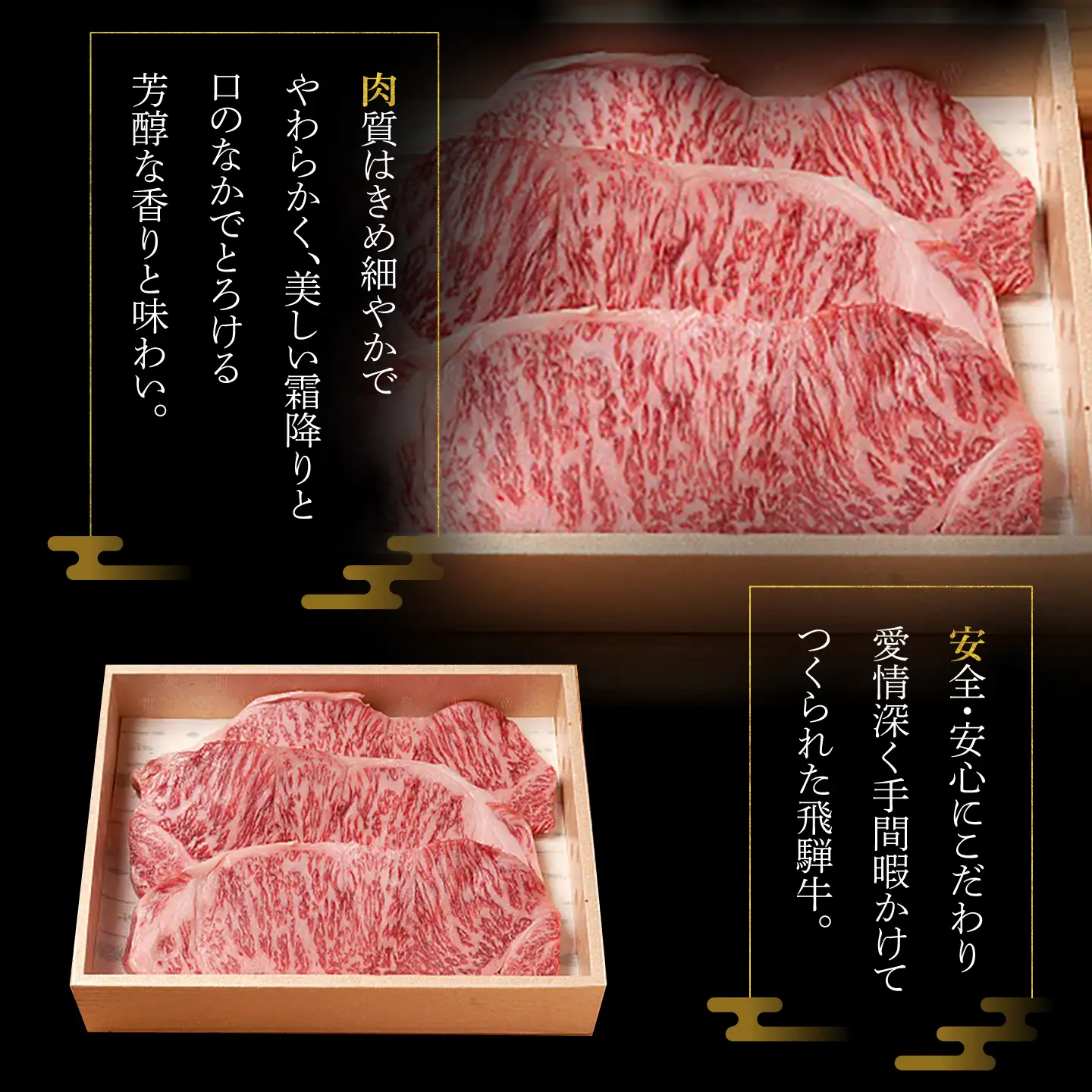 A5等級 飛騨牛 サイコロステーキ 霜降り 500g (約250g×2P) 瑞浪市 / マルチョウ渡辺精肉店 牛肉 和牛 国産 ギフト お取り寄せ[AZCW006]