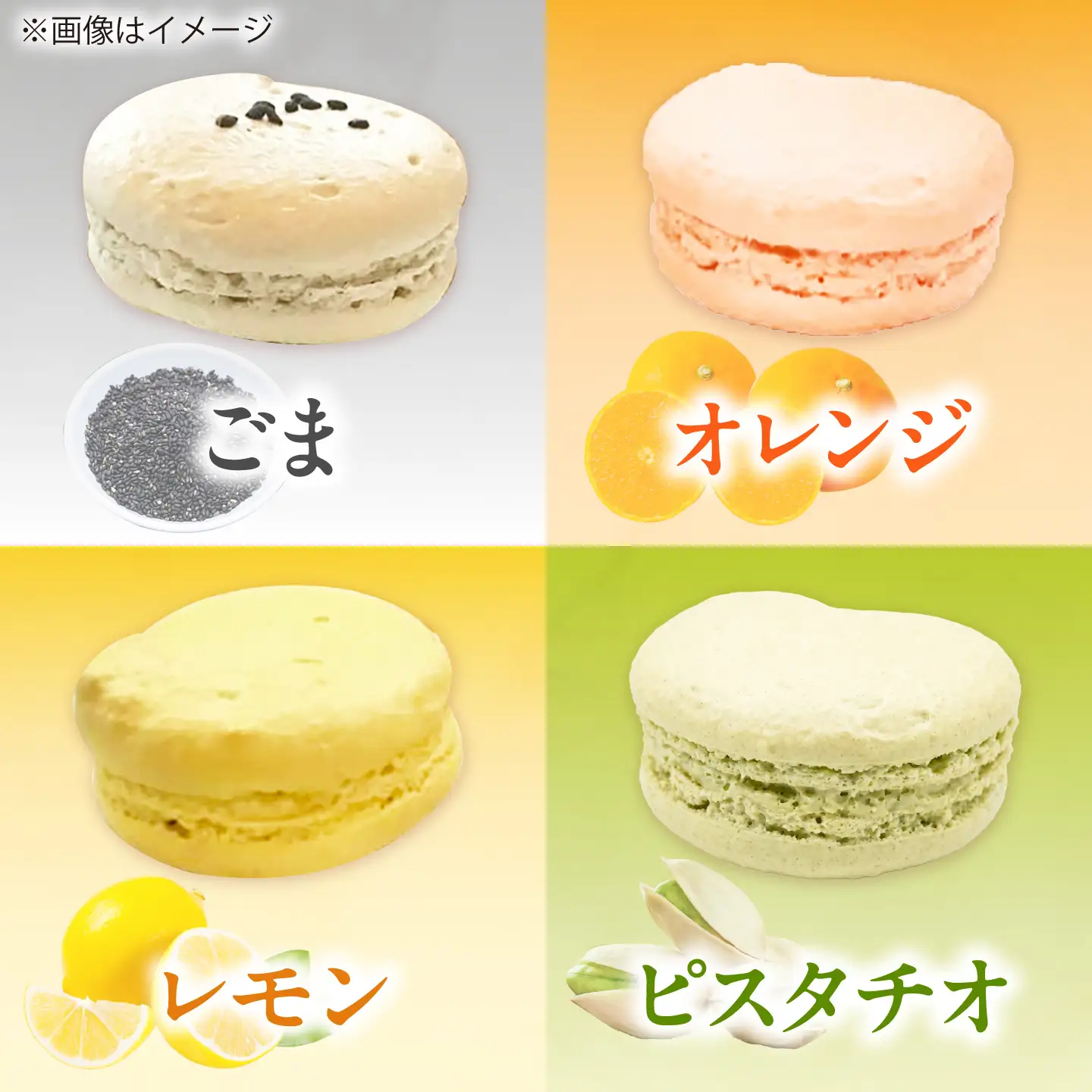 マカロン 10個入り 洋菓子 マカロン スイーツ 愛西市 / スイーツカフェハル[AEDP005]