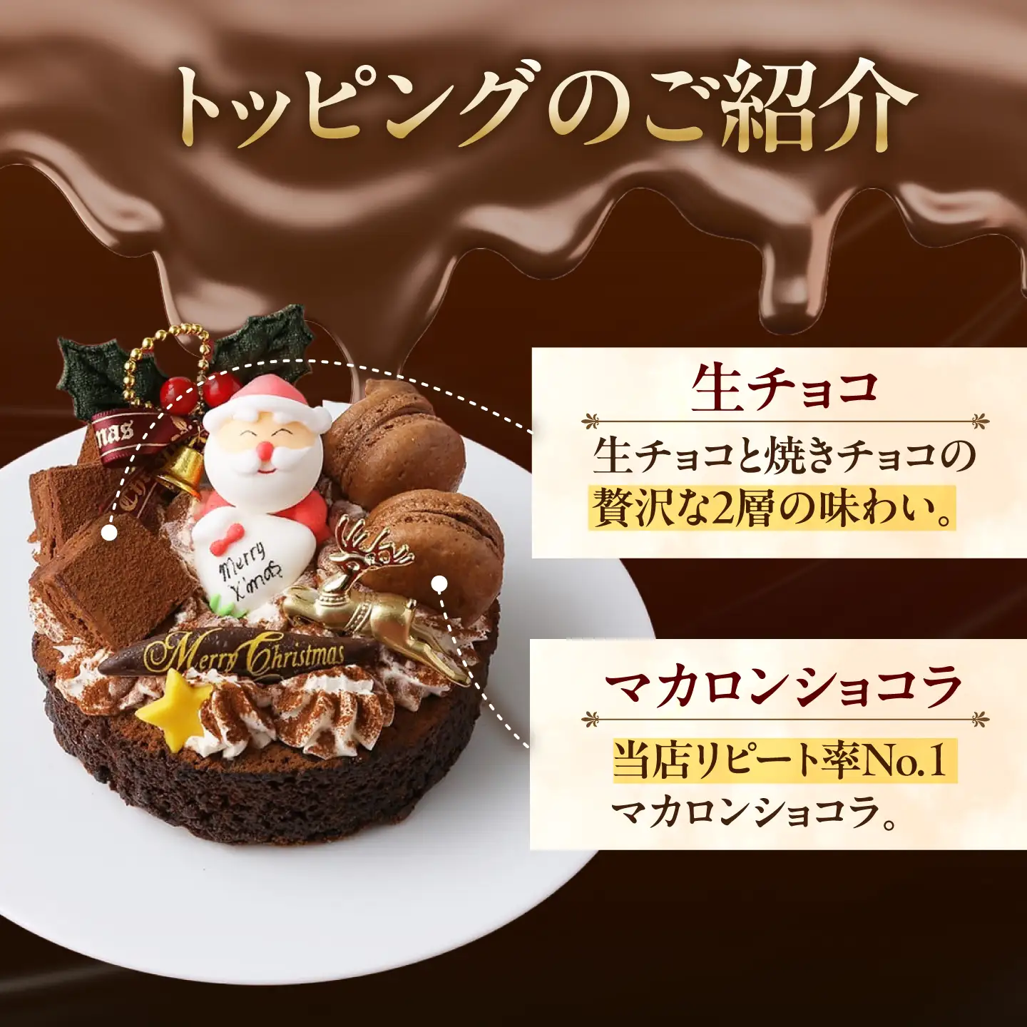 ＼クリスマスケーキ／ 濃厚チョコ ガトーショコラ 5号 ケーキ 洋菓子 チョコレート 愛西市 / スイーツカフェハル[AEDP011-2]