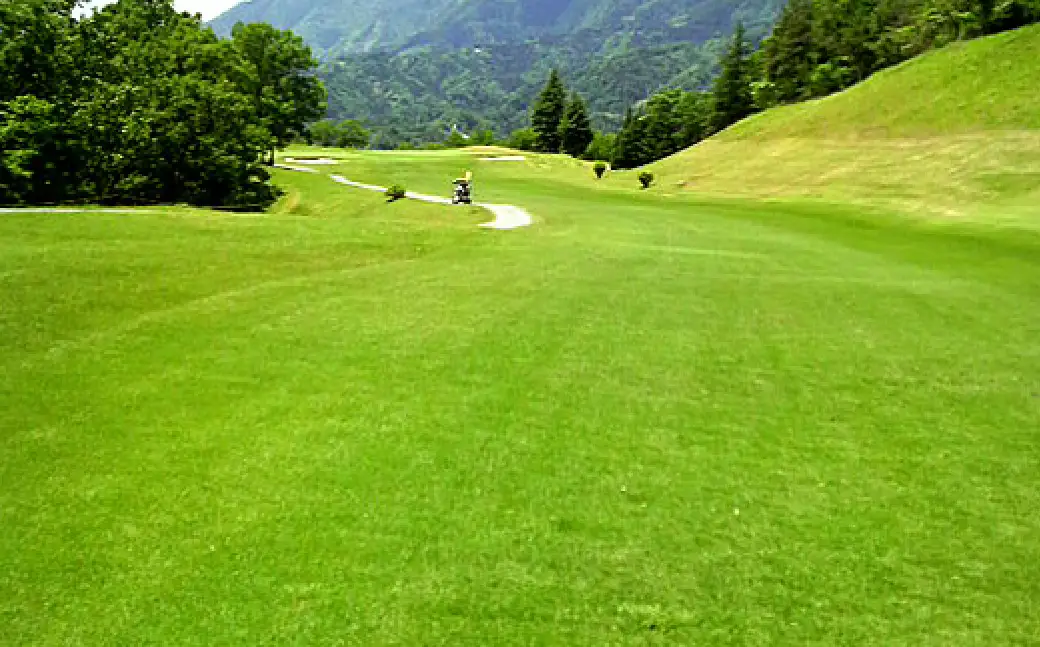 富士川カントリークラブ 利用助成券 3,000円 × 2枚 ゴルフ ゴルフ場 ゴルフプレー ゴルフコース 施設利用券 施設利用チケット ゴルフ利用券 券 チケット 利用券 プレー券 ラウンド