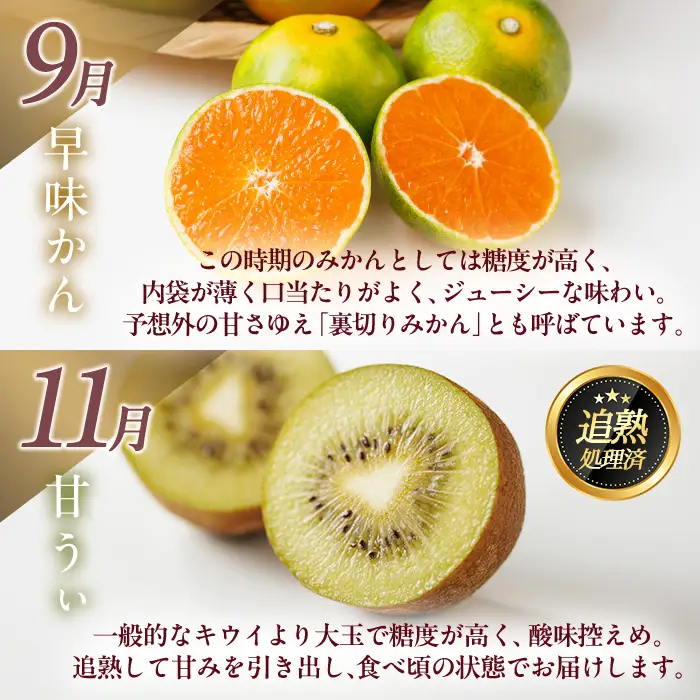 ＜全4回・定期便＞ 福岡ブランド！季節のご褒美 フルーツ定期便 (総計約8.8kg) あまおう とよみつひめ 早味かん 甘うぃ いちご 苺 いちじく みかん 蜜柑 キウイ フルーツ 果物 くだもの ＜離島配送不可＞【ksg1918】【農産物直売所ほたるの里】