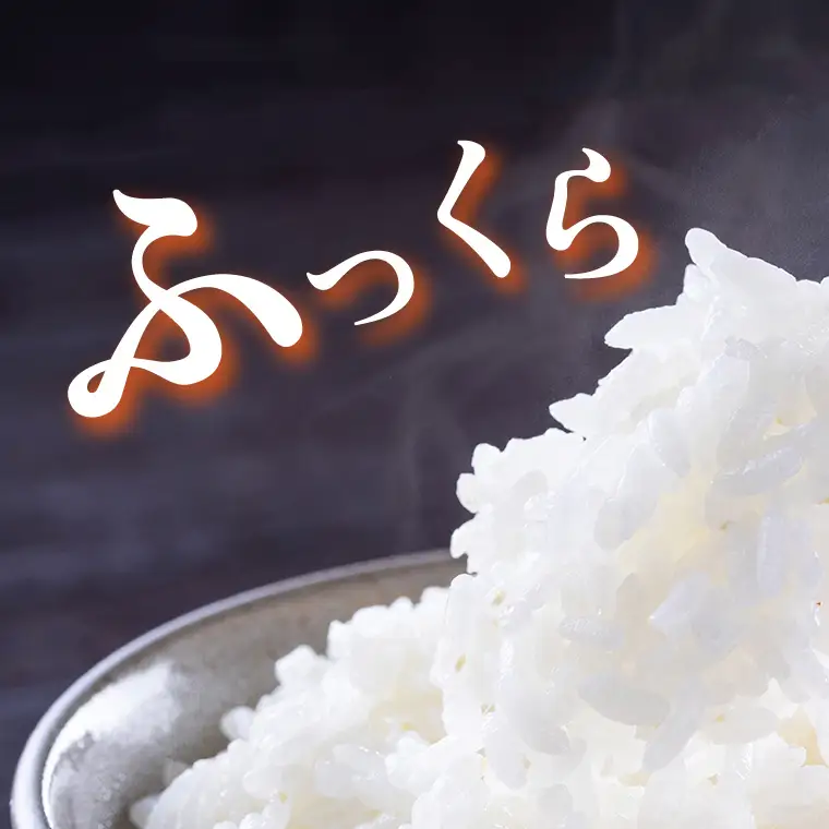 《 令和8年産 》 桜川市産 こしひかり 20kg 新米 先行予約 茨城県 桜川市 米 お米 白米 コメ ごはん 精米 コシヒカリ 国産 限定 銘柄米 [SC066sa]