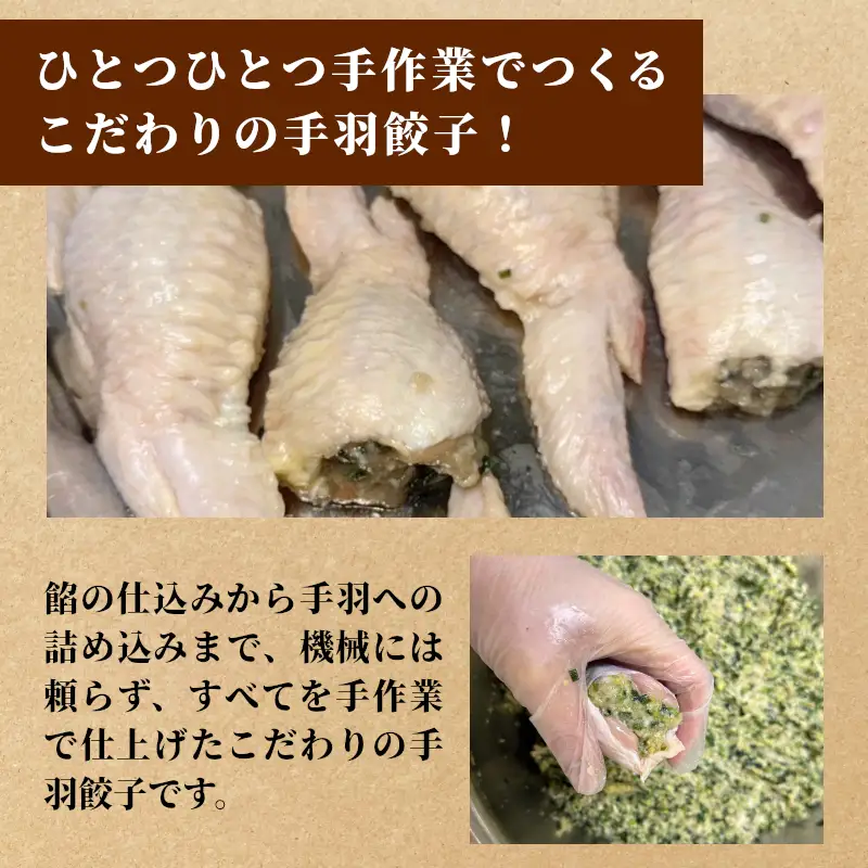 簡単 焼くだけ 手羽餃子 2袋 10本 手羽 手羽先 餃子 ギョーザ 鶏 鶏肉 豚肉 おやつ おかず 惣菜 おつまみ 晩ごはん  東白川村 岐阜県 冷凍