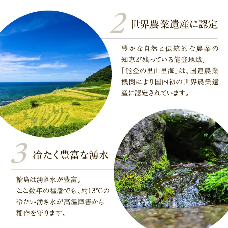 6月発送 R8年産 コシヒカリ 2kg 無洗米 wa084 無洗米 米