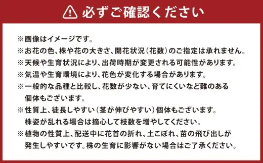 オリジナルビオラおまかせアソート （ ベーシック 24鉢 ）【 2026年11月下旬から2027年1月上旬迄発送予定 】