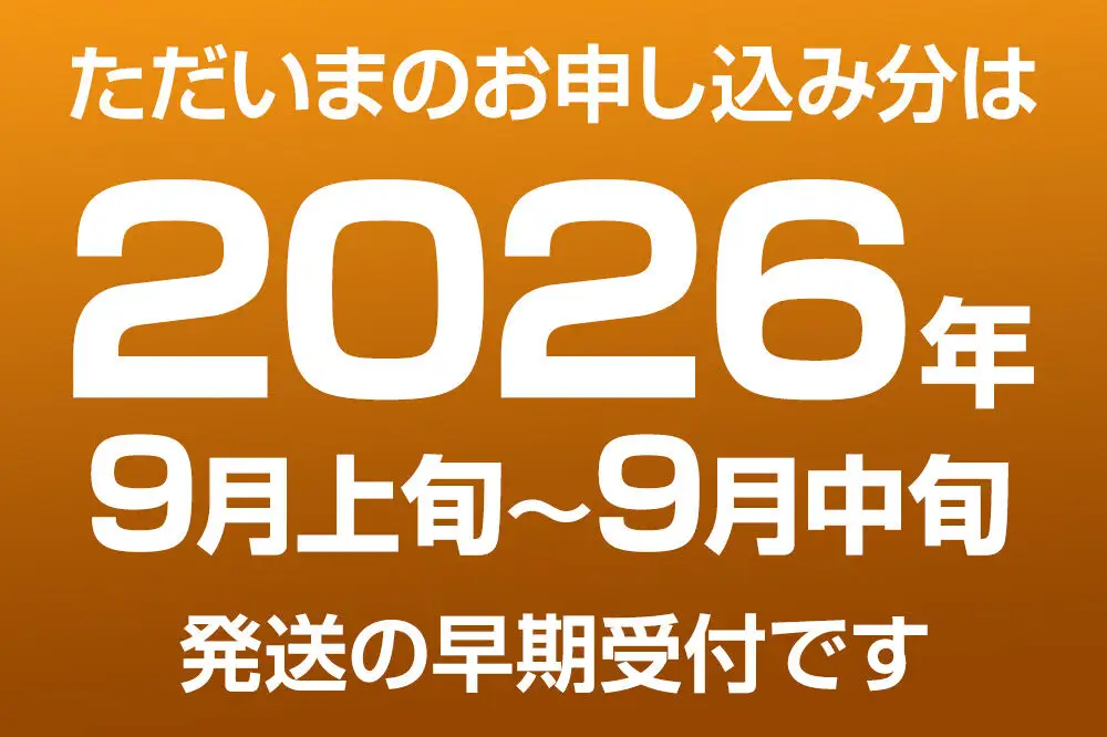 《先行受付》梨 幸水 10kg前後（3L～2L）28～32玉 秋田なまはげ農業協同組合 秋田県 男鹿市