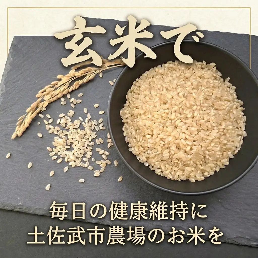 【先行予約】 新米 【6回定期便】 特別栽培米 令和8年度産 コシヒカリ 玄米 5キロ