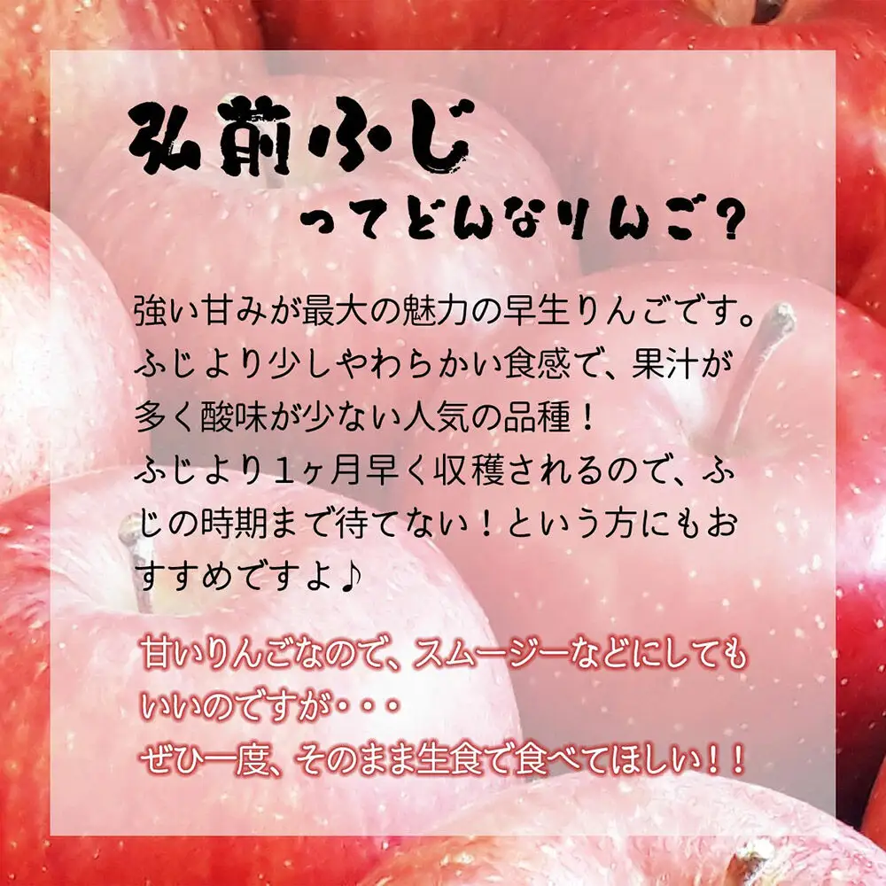 【26年10月中旬～発送】りんご 弘前ふじ【贈答用】約10kg 内のし付き 青森県 弘前市