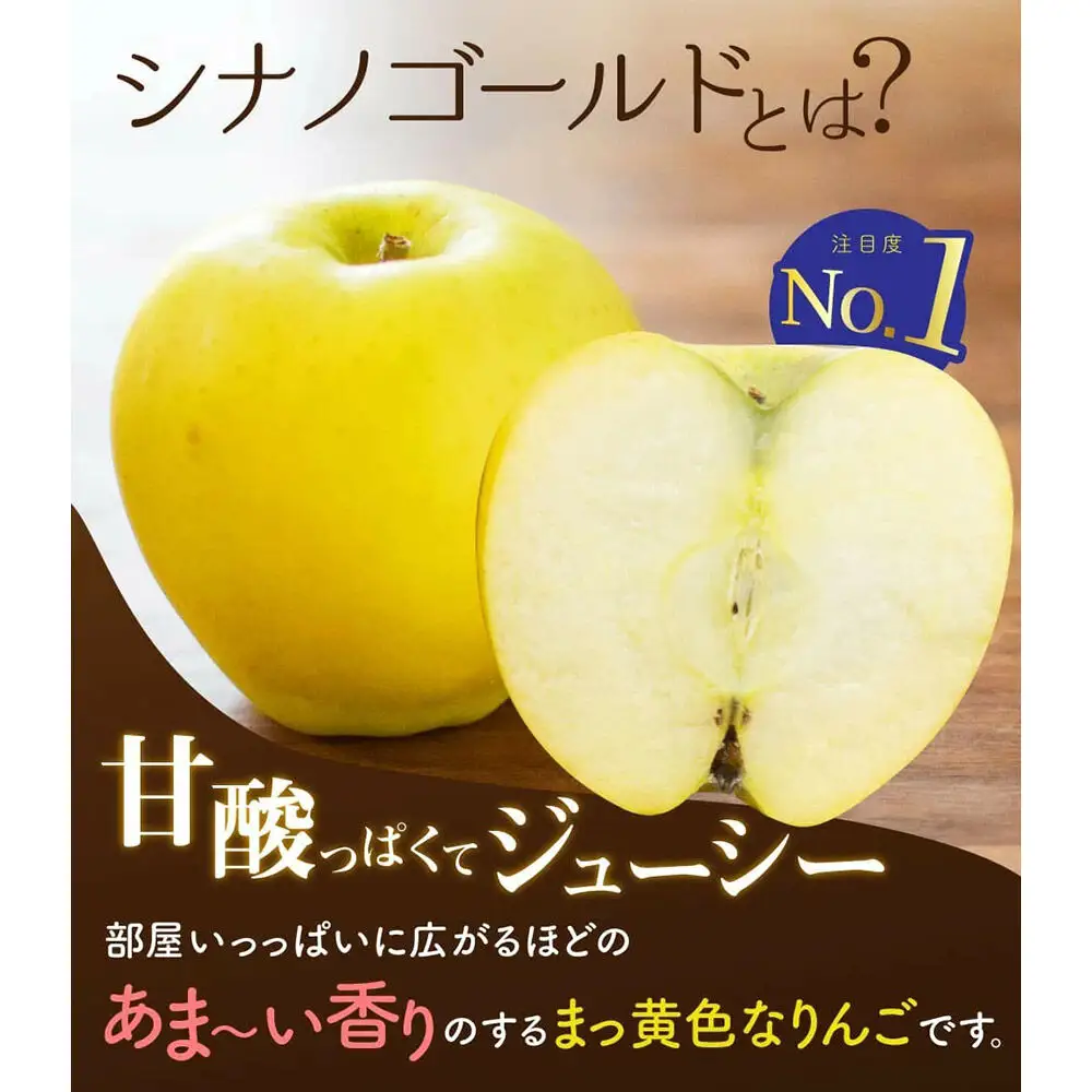 【26年10月下旬～発送】りんご シナノゴールド【贈答用】約5kg 内のし付き 青森県 弘前市