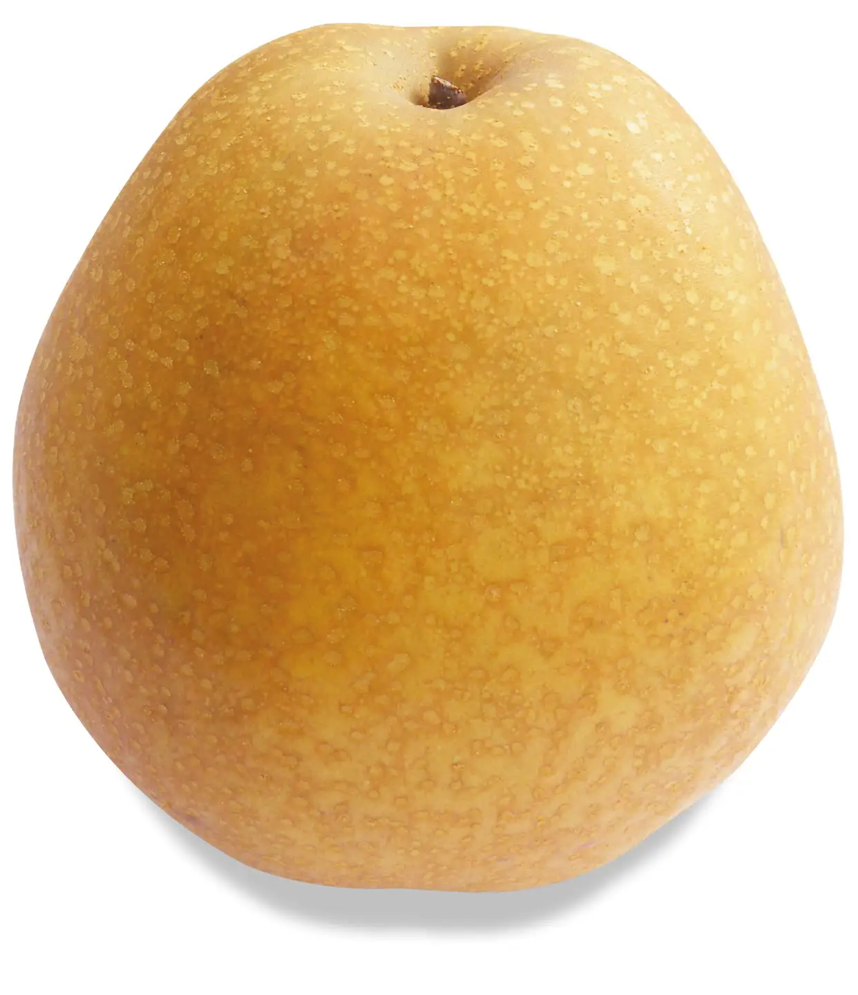 鳥取県産 王秋梨 “赤秀”５kg（6〜8玉入）