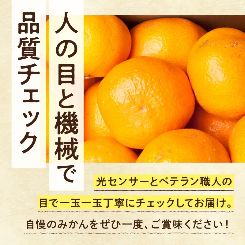 【2026年先行予約】家庭用 大きな有田みかん約7.5kg+250g（傷み補償分）【わけあり・訳あり】【光センサー選果】_ZH7118
