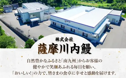 鹿児島県産 無頭 特大うなぎ 蒲焼 約190g×1尾 うなぎ 鰻 ウナギ 国産 冷凍 AS-056