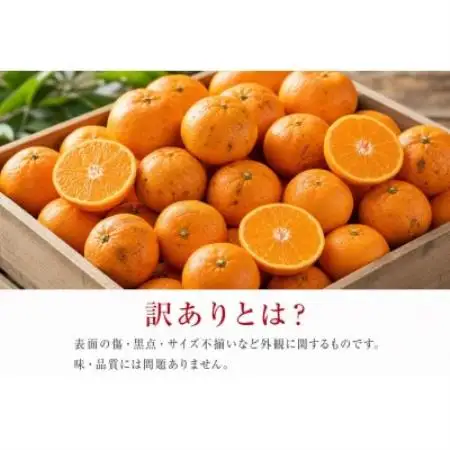 和歌山有田みかん10kg【訳ありご家庭用】2S～2Lサイズ混合【1748596】