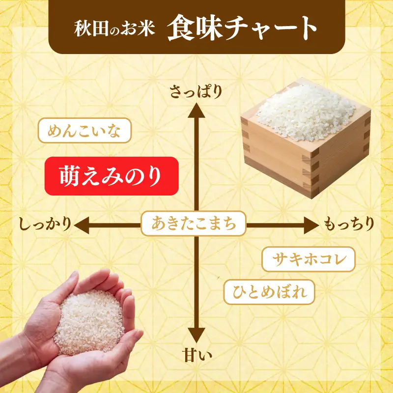 【新米先行予約】【6か月定期便】 萌えみのり 精米 5kg 【令和8年度産精米 白米 米 コメ お米 おこめ ブランド米 ご飯 ごはん 秋田 にかほ】