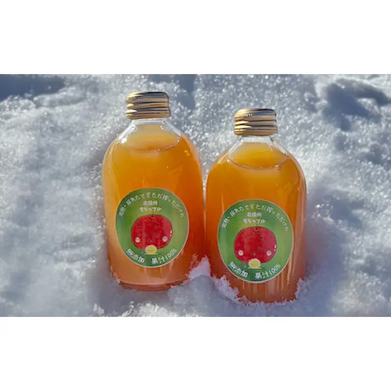 もちっプルのりんごジュース 果汁100% 250ml×6本 りんごジュース ジュース 飲料 100%果汁 サンふじ 山ノ内町 もっちーの畑