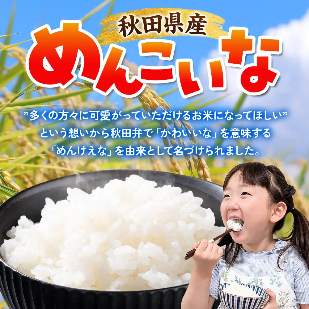 生活応援 数量限定《令和7年産》【白米】めんこいな 10kg（5kg×2袋） 秋田県 横手市