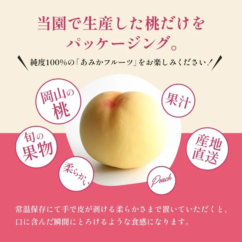 桃 2026年 先行予約 8月の旬な 白桃 をお届け！3玉 約900g 糖度センサー選果 糖度12度以上 もも モモ 岡山県 赤磐市産 国産 フルーツ 果物 ギフト あみかフルーツ