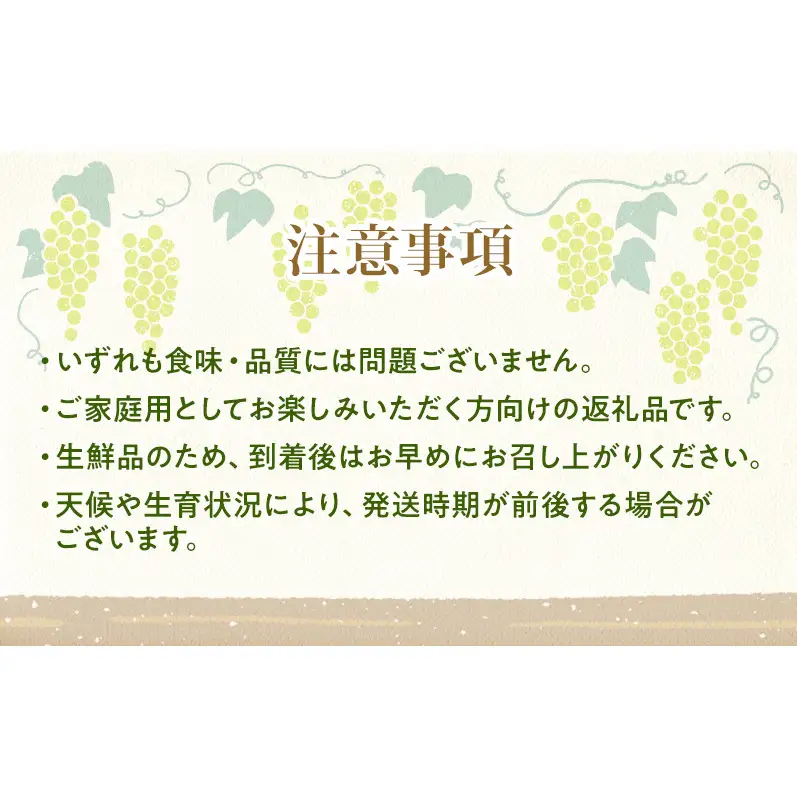 【★先行予約】【訳あり】長野県産シャインマスカット 約400g×3房 見た目にワケあり 味はそのまま 果物 旬のフルーツ 長野県 上田 信州