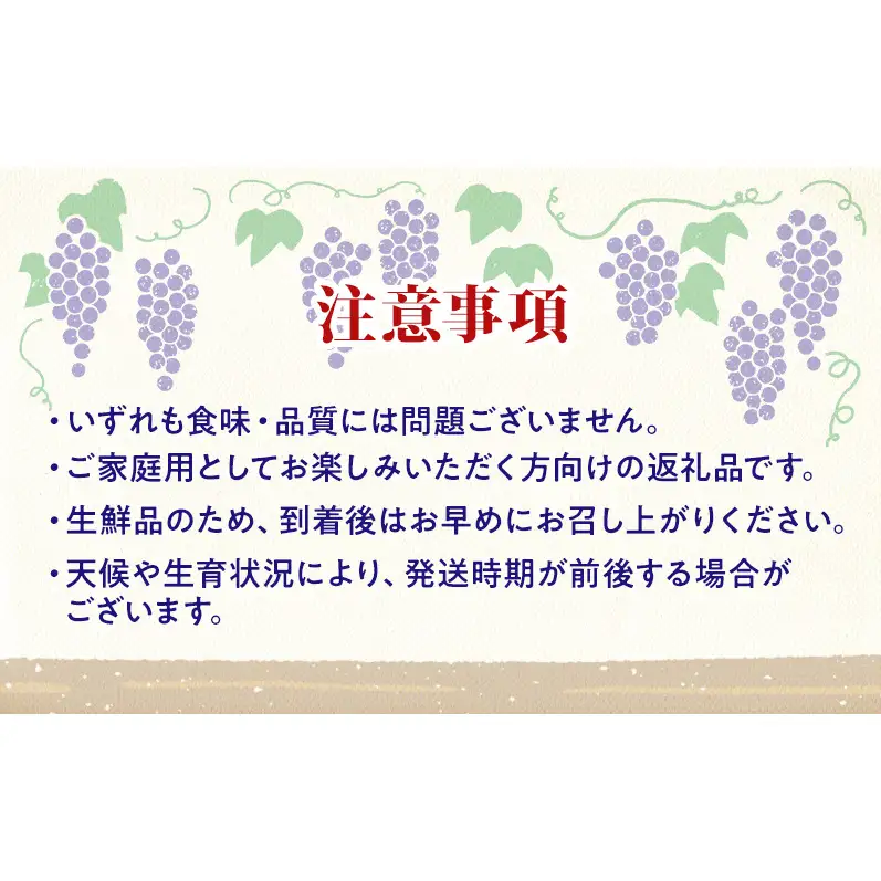 【★先行予約】【訳あり】長野県産巨峰 約300g×3房 見た目にワケあり 味はそのまま ぶどう ブドウ 果物 旬のフルーツ 長野県 上田 信州