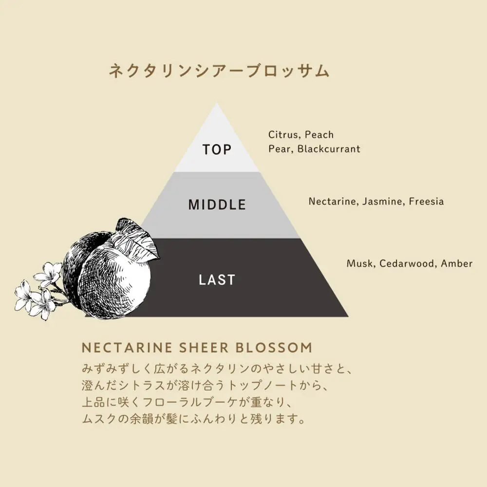 DeepLayer ディープレイヤー シャンプーExV (R) 80mL×1個・トリートメント ExV 60g×1個 セット