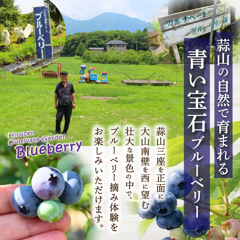 【先行予約】生ブルーベリー 約1kg(500g×2) フルーツ 果物 ベリー 【kbkb001-01】