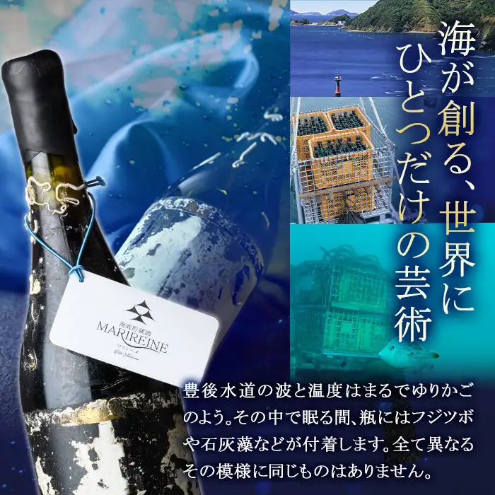 海底貯蔵 赤ワイン MARIREINE ロネア コート デュ ローヌ レジョンド デ トック2024 (750ml・1本) ワイン 赤ワイン 酒 パーティー 海底蔵の眠り酒 熟成 大分県 佐伯市【FP033】【フルタ酒店】
