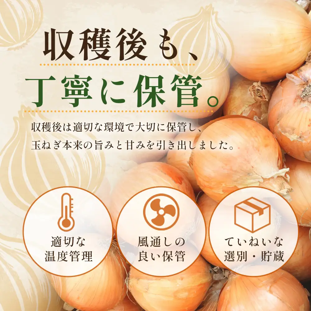＼生産者直送／佐藤農場が育てた鹿島市産玉ねぎ 10kg×2箱（20kg）｜鹿島市産 玉ねぎ 佐藤農場 産地直送 新鮮 野菜 大容量 C-205