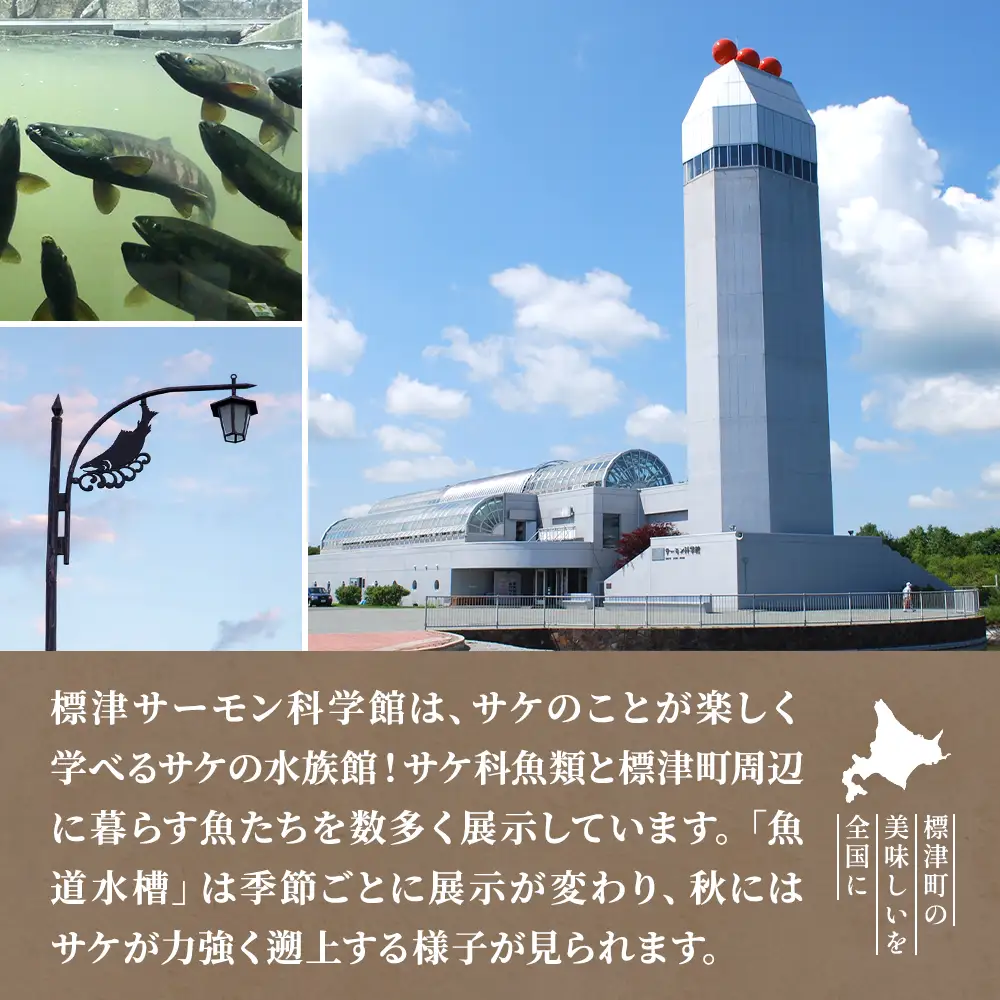 鮭ポーチ S×1 ハンディポーチ【AP】