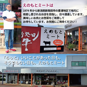 【地域に愛され30年】カレー 200g×5袋 新発田牛 ビーフ カレー enomoto016_01