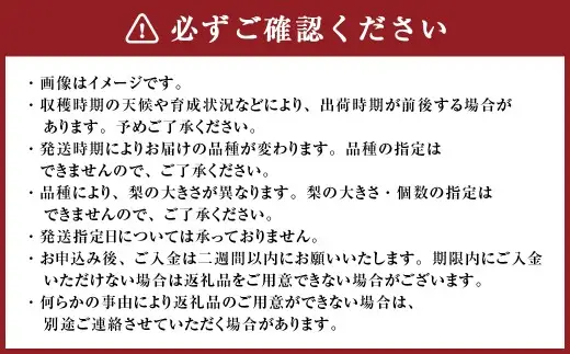 【 ご家庭用 】 九重町産 梨 詰め合わせ 約3kg （ 約6～9個 ） なし ナシ フルーツ 果物 くだもの 果実 旬 おやつ デザート スイーツ 国産 家庭用 詰合せ 【 2026年8月上旬～10月下旬まで順次発送予定 】 