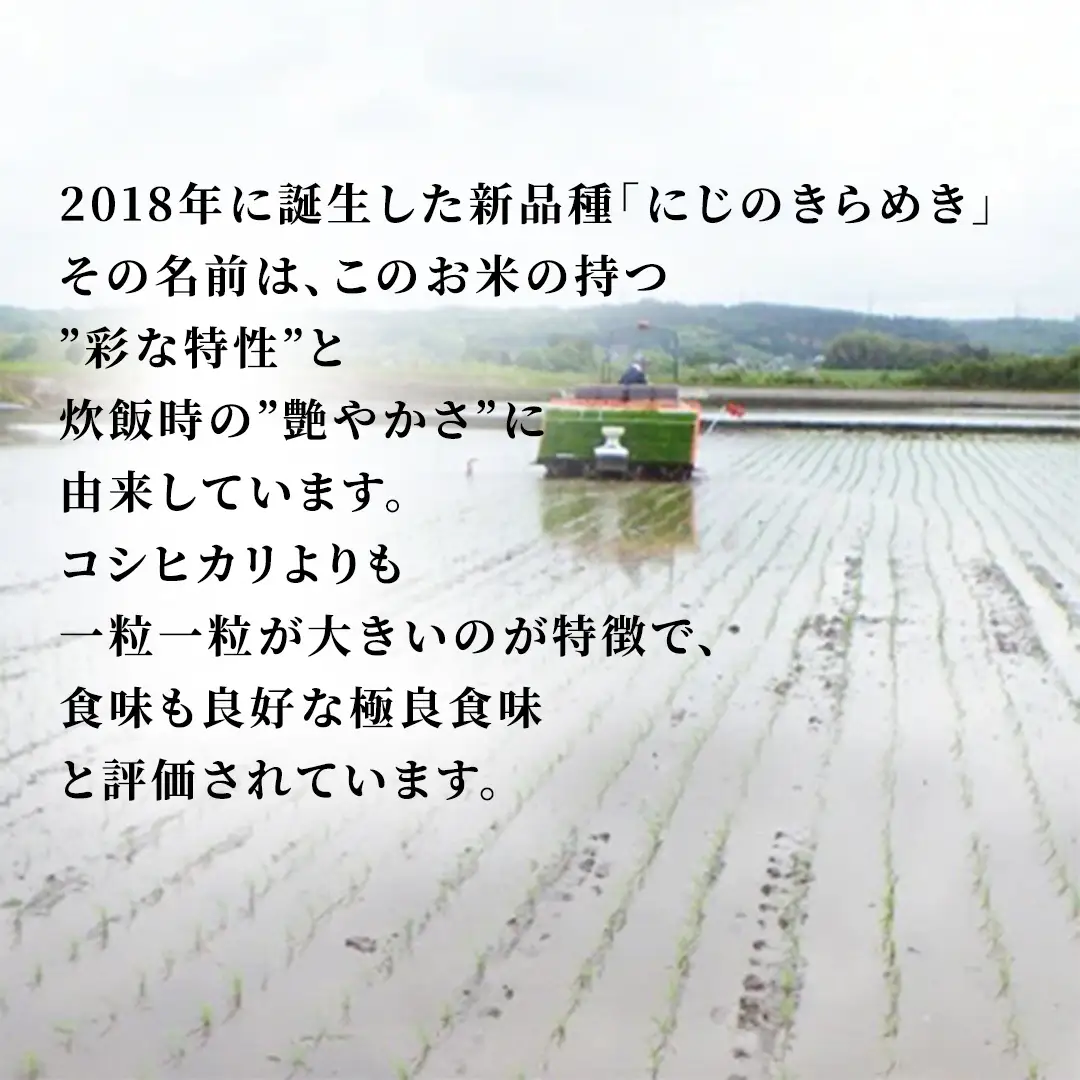 ＼最短3営業日以内出荷／ 【令和7年産】 にじのきらめき 20kg (5kg×4袋) 精白米 スピード出荷 最短3～7営業日出荷 産地直送 茨城県 城里町 新米 精白米 米 ご飯 米 白米 精米 単一原料米