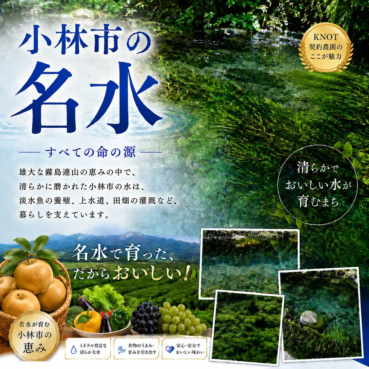 旬のもぎたて梨3kg（フルーツ 梨 贈答用 産地直送 契約農場 おすすめ ふるさと 宮崎)
