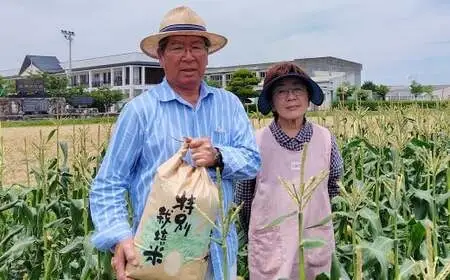 【白米】 夢つくし （特別栽培米） 約5kg 福岡県産 令和7年産 米 こめ コメ