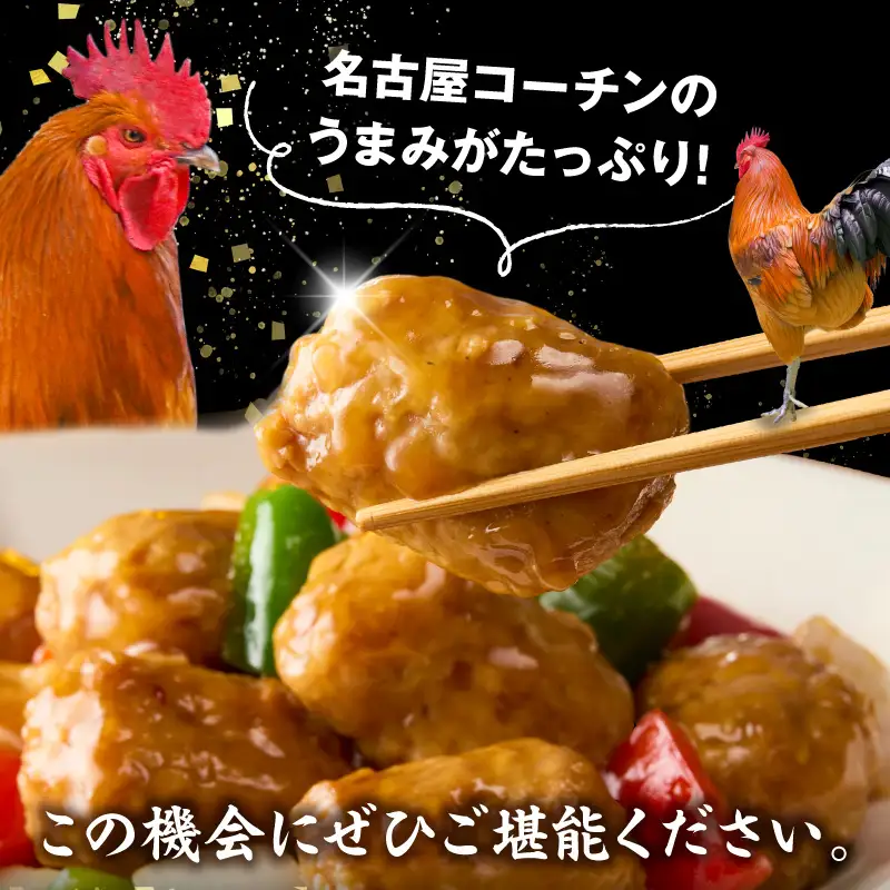 名古屋コーチン入りチキンボール　だししょうゆ味　黒酢あんかけ味　セット ［001T13］ 名古屋コーチン チキンボール 合計840g 15個×4パック だししょうゆ 黒酢あんかけ 日本三大地鶏 地鶏 惣菜 レンジ調理 湯煎 簡単調理 おかず お弁当 夕食 ご飯のお供 厳選素材 愛知県 小牧市 送料無料