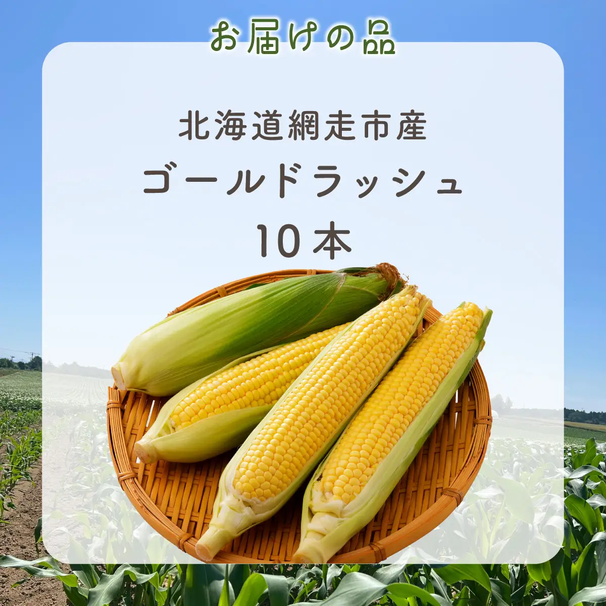 【先行予約】とうもろこし ゴールドラッシュ（2026年8月上旬頃より順次発送） ABCA001