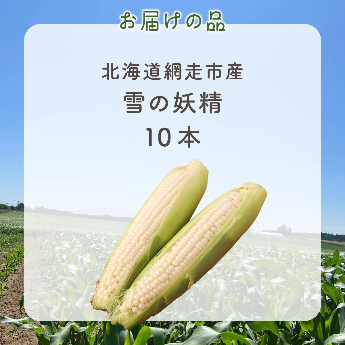 【先行予約】とうもろこし 雪の妖精（2026年8月上旬頃より順次発送） ABCA002