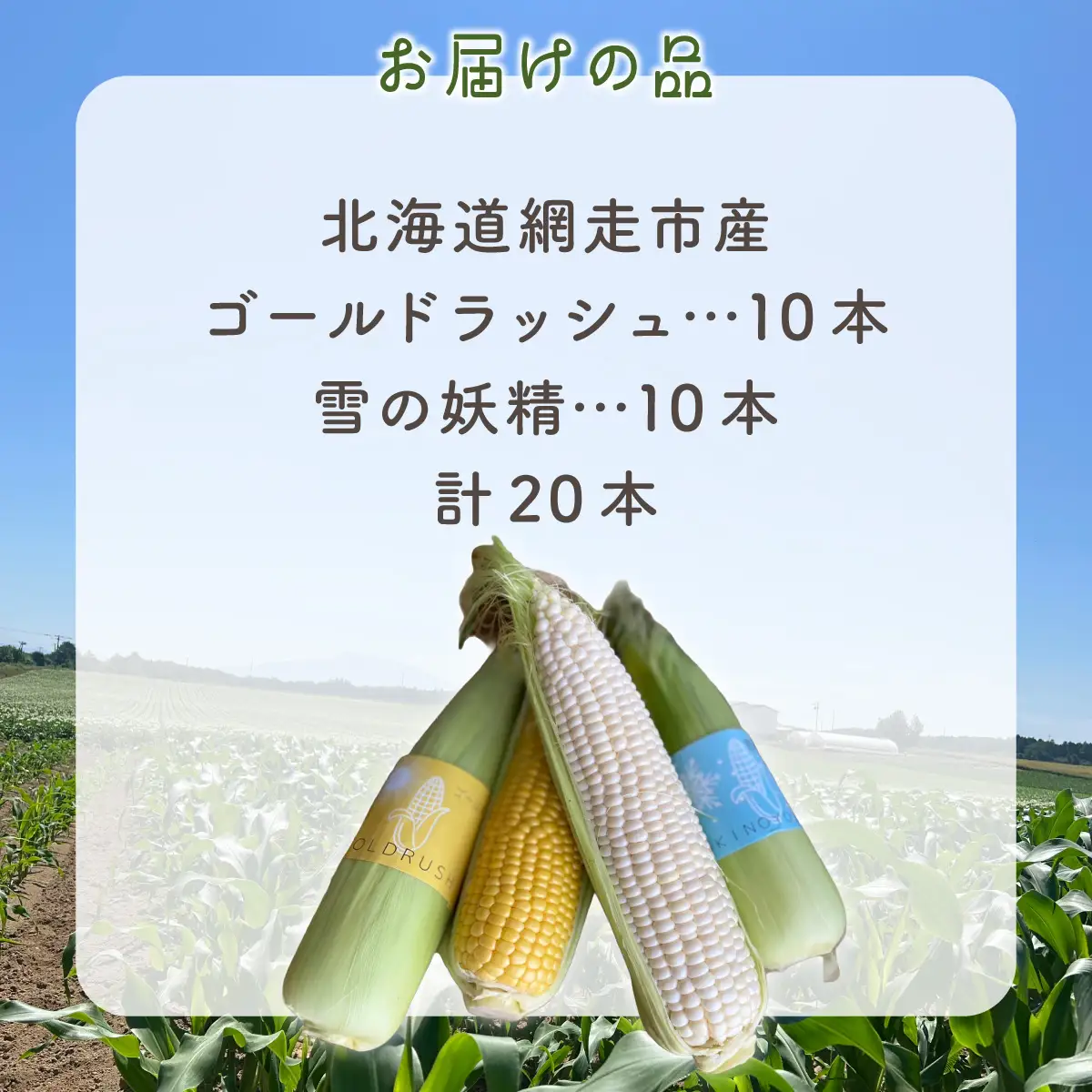 【先行予約】とうもろこし ゴールドラッシュ＆雪の妖精 食べ比べセット（2026年8月上旬頃より順次発送） ABCA003