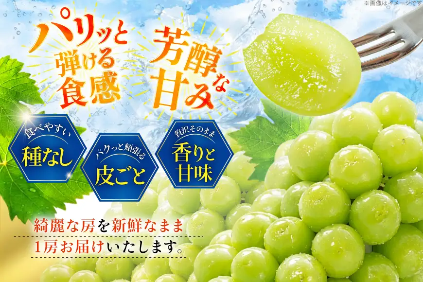 【2026年発送】 シャインマスカット 先行予約 贈答用 1房 600g 以上